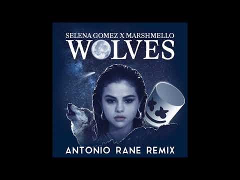 Selena Gomez, Marshmello - Wolves (Antonio Rane Remix)