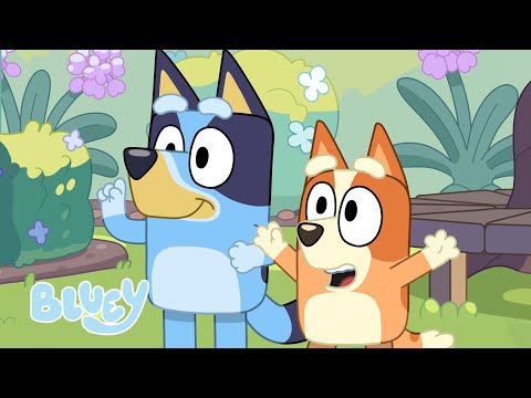Capa de Bluey e Bingo em um Desafio de Percurso de Obstáculos! 😯 | Bluey Português Brasil Canal Oficial