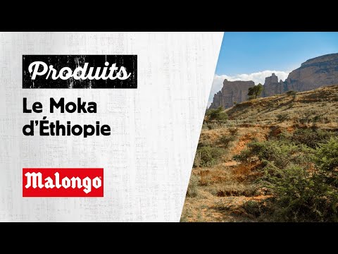 Café Moka d'Éthiopie - Malongo