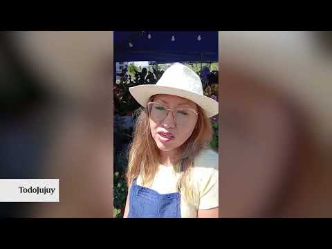 Se vive a pleno la segunda jornada de Jujuy Florece en San Salvador de Jujuy