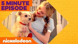 Nicky, Ricky, Dicky and Dawn: The Wonderful Wizard of Quads 👠 in 5 Minutes | Nick