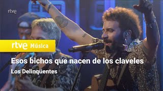 Los Delinqüentes - "Esos bichos que nacen de los claveles" (La Revuelta)