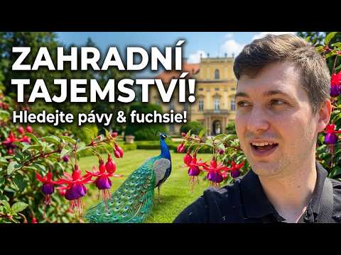 Výlet na Zámek Buchlovice: pávi, fuchsie a čokoládovna v jedinečné zámecké zahradě!