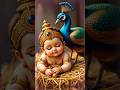 Chinna Chinna Murugaiya Murugan Songs In Tamil Lord Murugan Songs In Tamil Trending Murugan