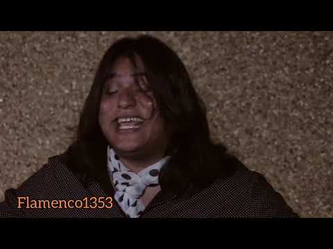 flamenco guitar and singer for Spanin,... this is special and they're gipsy