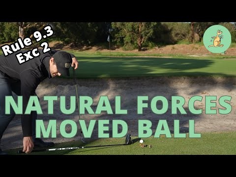 Natural Forces Moved Ball After Relief Taken - Golf Rules Explained