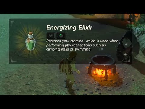 Zelda BOTW : Elixir Recipe for increase stamina