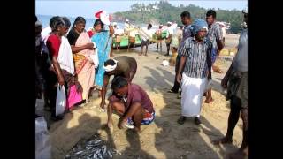 2013-12-25 Net fishing on Kovalam beach