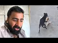 Jojo Ki Fight Ho Gai Aaj Toh