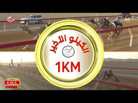 ش 8 (سيافه) لـ شطيط سالم بن راشد الكتبي 6:08:66 ، مهرجان العين 2026/09/15 إيذاع الروضة