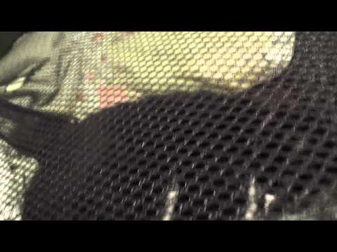 Mitty Helps With Some Laundry!