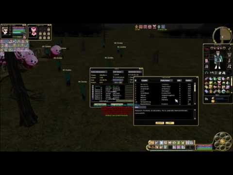 Let´s Play Insanity Flyff E025 - Halloween Stimmung