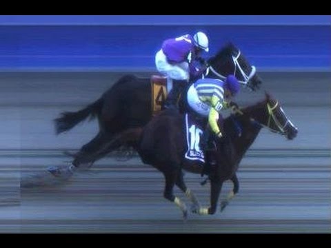 SALUSTIO - COPA INVITACIONAL DE IMPORTADOS 2016