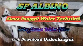 Download lagu 🔴 Suara Panggil Walet Terbaik.SP ALBINO mp3