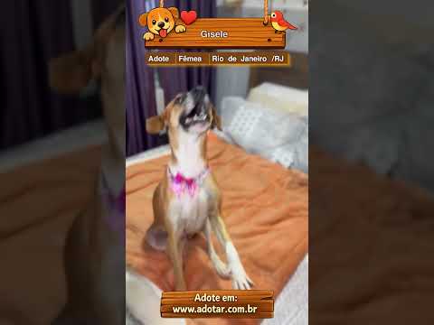 Vídeo de Gisele 
