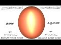 Arutperumjothi Mantra Chanting Meditation Alpha Waves Solfeggio 528 Hz Frequency Om Mantra