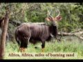 Africa Song for Kids | Meet African Animals 