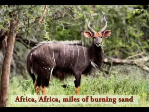 Africa Song for Kids | Meet African Animals