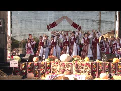 Ansamblul de dansuri românești al Școlii Gimnaziale Cenei - dansuri din Banat și Ardeal | Cenei 2019