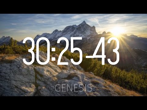 Genesis 30:25-43