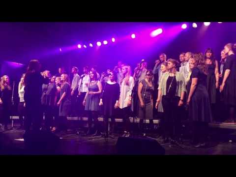 LYT at the pre-festival of the AAVF 2017