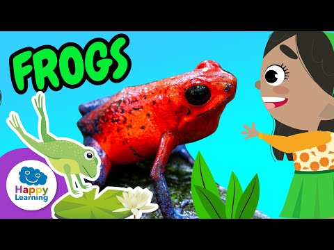 Fascinating Facts about Frogs | Happy Learning 🐸🌿✨
