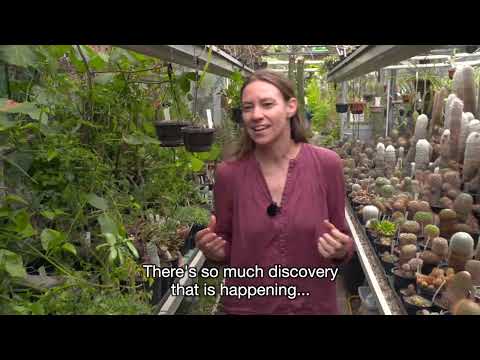 NWO Spinoza laureate 2023 - Toby Kiers