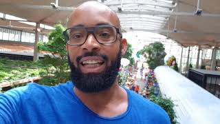 Formation Extrem Money Smotret Onlajn Skachat Besplatno - 