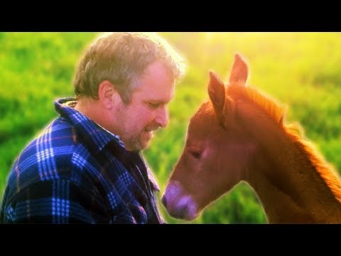 Fohlen denkt, dass Birger seine Mama ist 😍