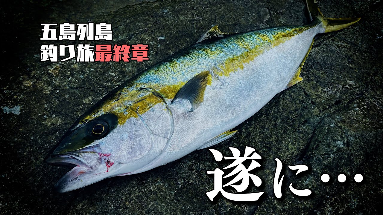 【五島列島釣り旅最終章】1ヶ月かけてようやく出た！釣り人憧れの魚「ヒラマサ」