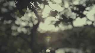 F U Z E T A - "Dive" (Official Video)