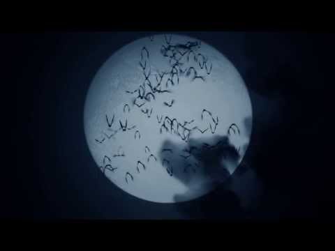 Full Moon Party FORTUNY