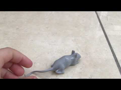 The Sponge King Part 2 Plankton