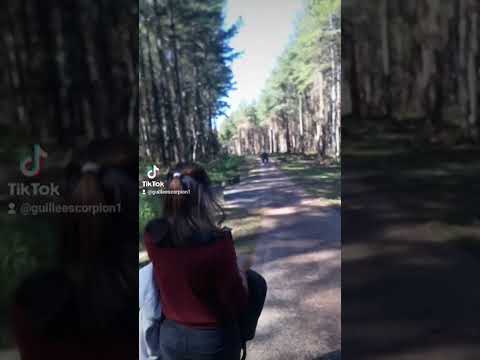 paseo por loreto, misiones