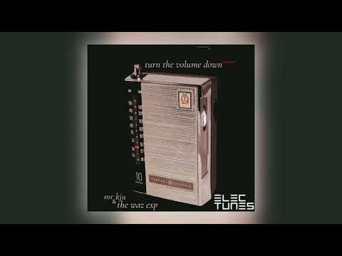 Mr. Kju & The Waz Exp. - Turn the Volume Down (Loopus Deep Rework) [Audio]