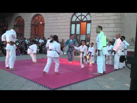 Esibizione Judo