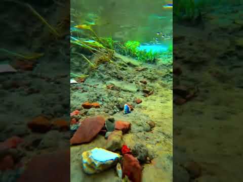 #music #villagelife #beach #beautiful #trending #foryou #....... #electronic 💖🥰😍😍😗😇😆😉🙃🙃😘😘😗