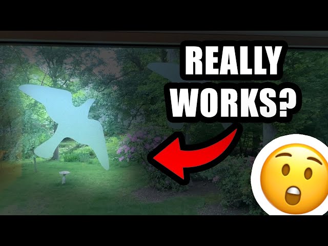 Vídeo relacionado con Calcomanías Anticolisión Ventanas Pájaros, 16 Pájaros Blancos Anticolisión para Ventanas, Adhesivos Electrostáticos Reutilizables, Protección contra Aves y Decoración para Salas de Estar y Dormitorios