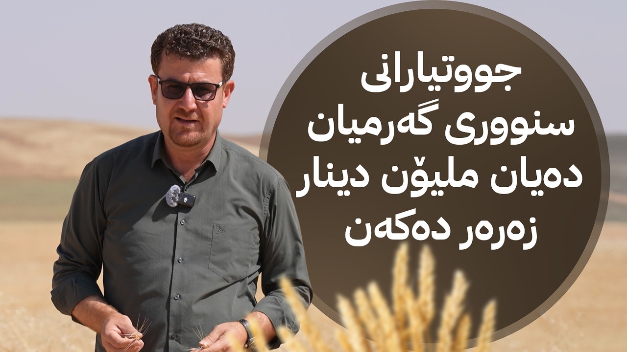 ڤیدیۆ | بەدواداچوونەکانی هەڵۆ؛ جووتیارانی سنووری گەرمیان دەیان ملیۆن دینار زەرەر دەکەن