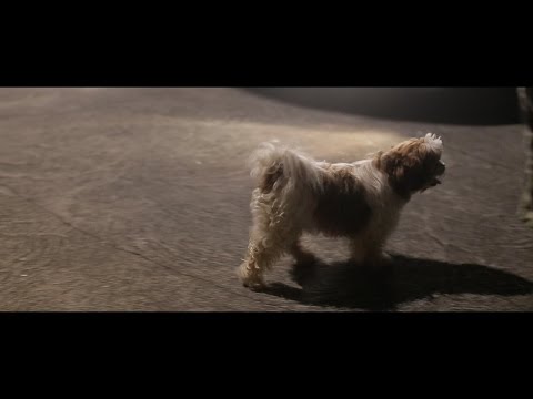 Vlg Rocki - Sé Wou Pa Mwen (SWPM) - October 2015 | STREET CLIP ATILA MOVIE