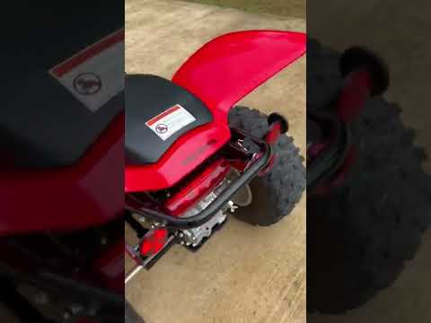 TRX250X with big gun evo r