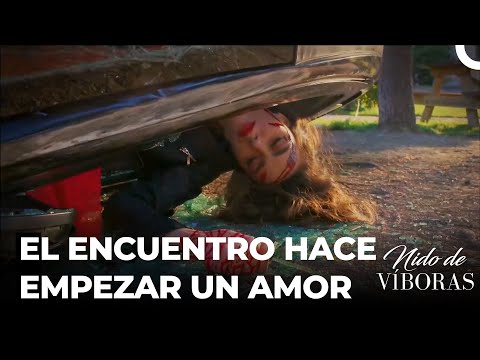 Los Destinos De Nagme Y Ejder Se Cruzan En El Accidente - Nido De Víboras Capitulo 1