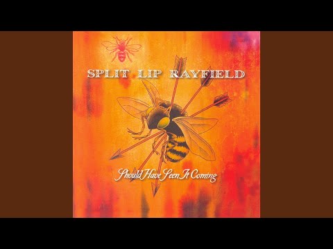 Out Of Time - Split Lip Rayfield