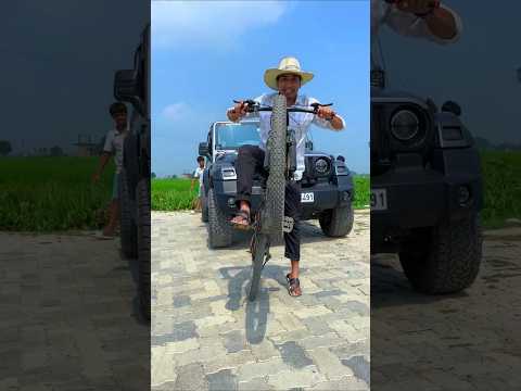 Coconut vs Mahindra Thar 😱#shorts