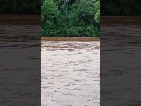 Saltão Do Rio Corimba Em Barbosa Ferraz PR