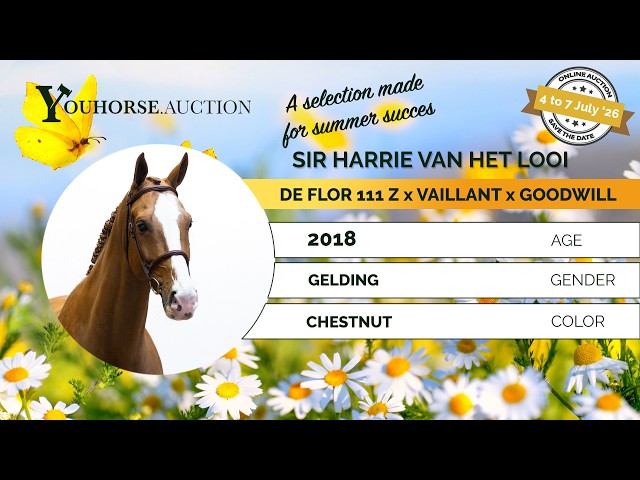 Sir Harrie van het Looi