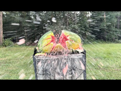 22lr pistol vs 22lr rifle! (Melon damage test!)