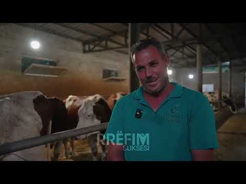 Fermeri më i suksesshëm në Rahovec, la Zvicrën dhe sot kujdeset për 80 krerë lopë.