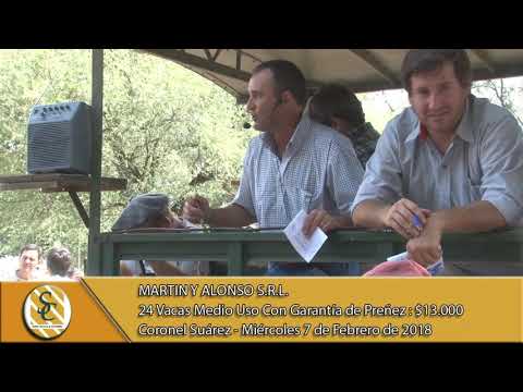 07-02-18 Venta de Vientre - Martin y Alonso S.R.L. - Coronel Suárez