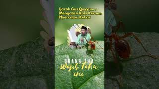 Download lagu Ijazah Gus Qoyyum  Mengatasi Kaki Kram, Nyeri atau Kebas #gusqoyyum #shorts   #ceramah mp3